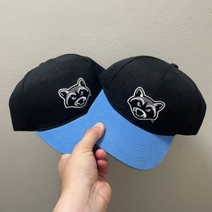 Hudson Valley Renegades Hats (2)